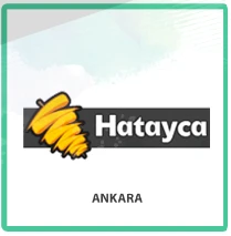 Hatayca
