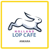 Holland Lop Cafe